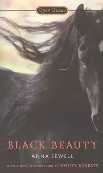 BLACK BEAUTY