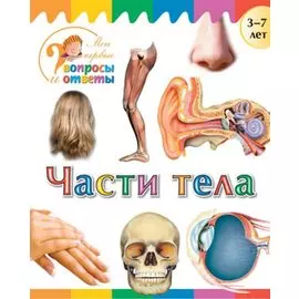 Части тела