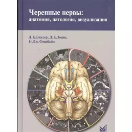 Черепные нервы: анатомия, патология, визуализация