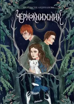 Чернокнижник: роман. Книга 2