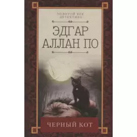 Черный кот