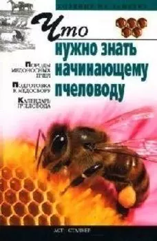 Что нужно знать начинающему пчеловоду