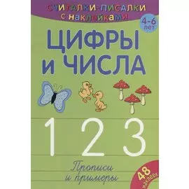 Цифры и числа 123