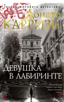 Девушка в лабиринте. Цикл Мила Васкес. Книга 3