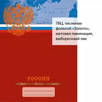 Дневник для средних и старших классов Unnika, "Дневник российского школьника.Дизайн 4"