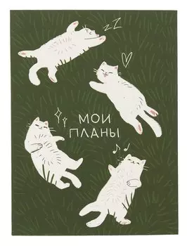 Ежедневник недат. А6 128л "Мечтай, пой, люби" интегр.переплет, ламинация Soft Touch, офсет