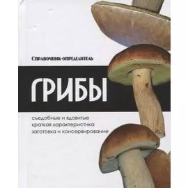 Грибы