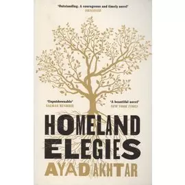 Homeland Elegies