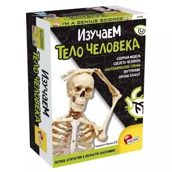 Игровой набор Lisciani. Изучаем тело человека