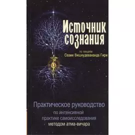 Источник сознания. Практическое руководство по интенсивной практике самоисследования методом атма-вичара