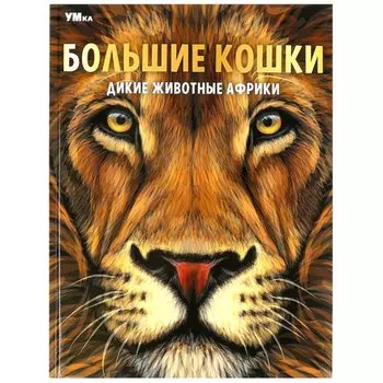 Энциклопедия. Дикие животные Африки. Большие кошки