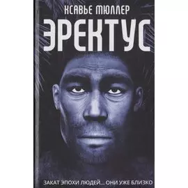Эректус