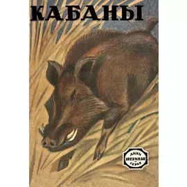 Кабаны