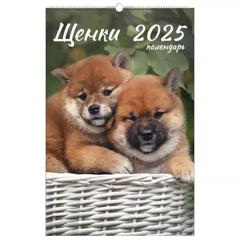 Календарь 2025г 280*435 "Домашние любимцы" настенный, на спирали