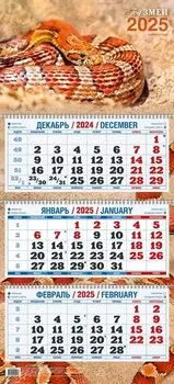 Календарь квартальный 2025г 310*680 "ГОД ЗМЕИ В2" настенный, трёхблочный, спираль