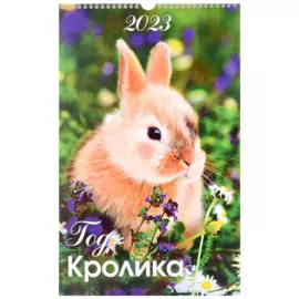Календарь настенный на 2023 год "Год кролика"