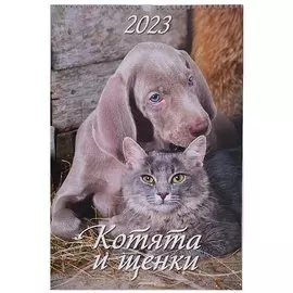Календарь настенный на 2023 год "Котята и и щенки"