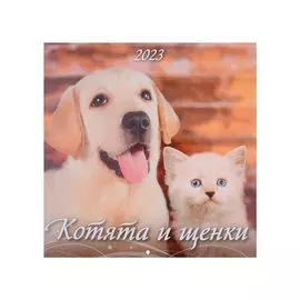 Календарь настенный на 2023 год "Котята и щенки"