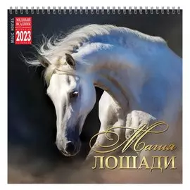Календарь настенный на 2023 год "Магия Лошади"