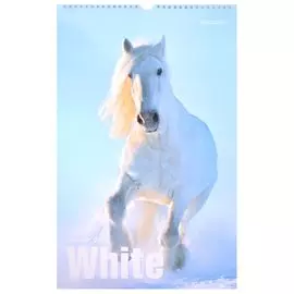 Календарь настенный на 2023 год "WHITE"
