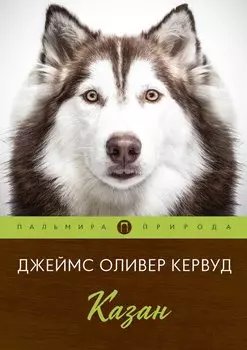 Казан