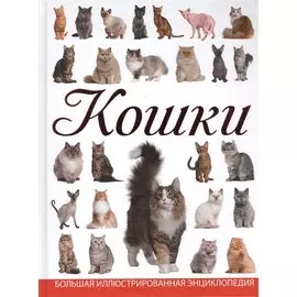 Кошки
