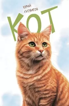 Кот