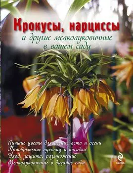 Крокусы, нарциссы и другие мелколуковичные цветы в вашем саду