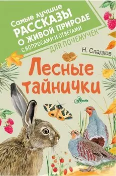 Лесные тайнички