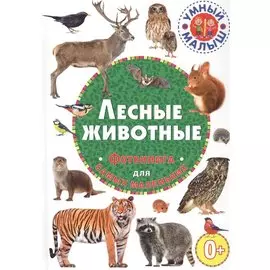 Лесные животные. Фотокнига для самых маленьких