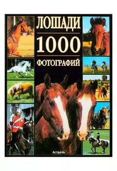 Лошади
