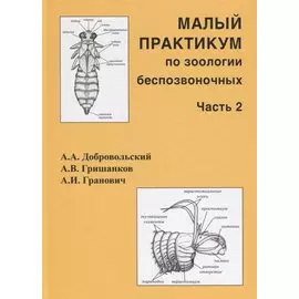 Малый практикум по зоологии беспозвоночных. Часть 2