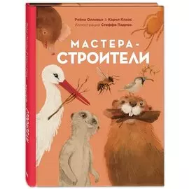 Мастера-строители