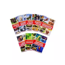 Мир животных. Мини-энциклопедии (комплект из 8 книг)