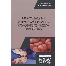 Морфология и васкуляризация головного мозга животных. Монография