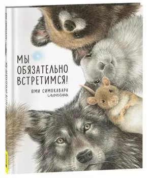 Мы обязательно встретимся!: сказка