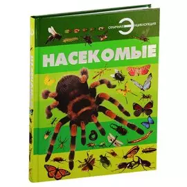 Насекомые