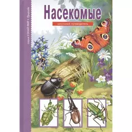 Насекомые