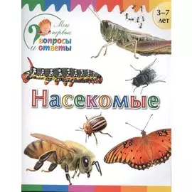 Насекомые