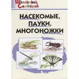 Насекомые, пауки, многоножки. Начальная школа