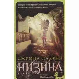 Низина
