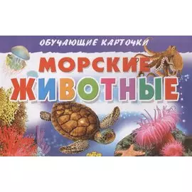 Обучающие карточки. Морские животные