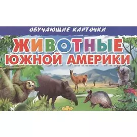 Обучающие карточки. Животные Южной Америки