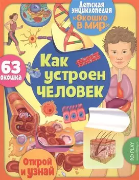 Окошко в мир. Как устроен человек