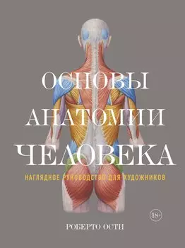 Основы анатомии человека. Наглядное руководство для художников