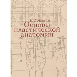 Основы пластической анатомии