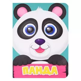 ЦК МИНИ. ПАНДА