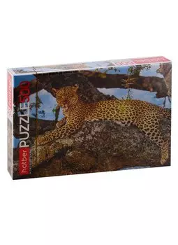 Пазл HATBER 500 эл. 460х340мм.Leopard