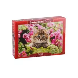 Пазл Castorland 500 эл. 47*33см. Котенок в саду