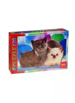 Пазлы 120 А5ф Три котенка (120П35_07186) (16,5х23см) (3-99л.) (Hatber) (коробка)